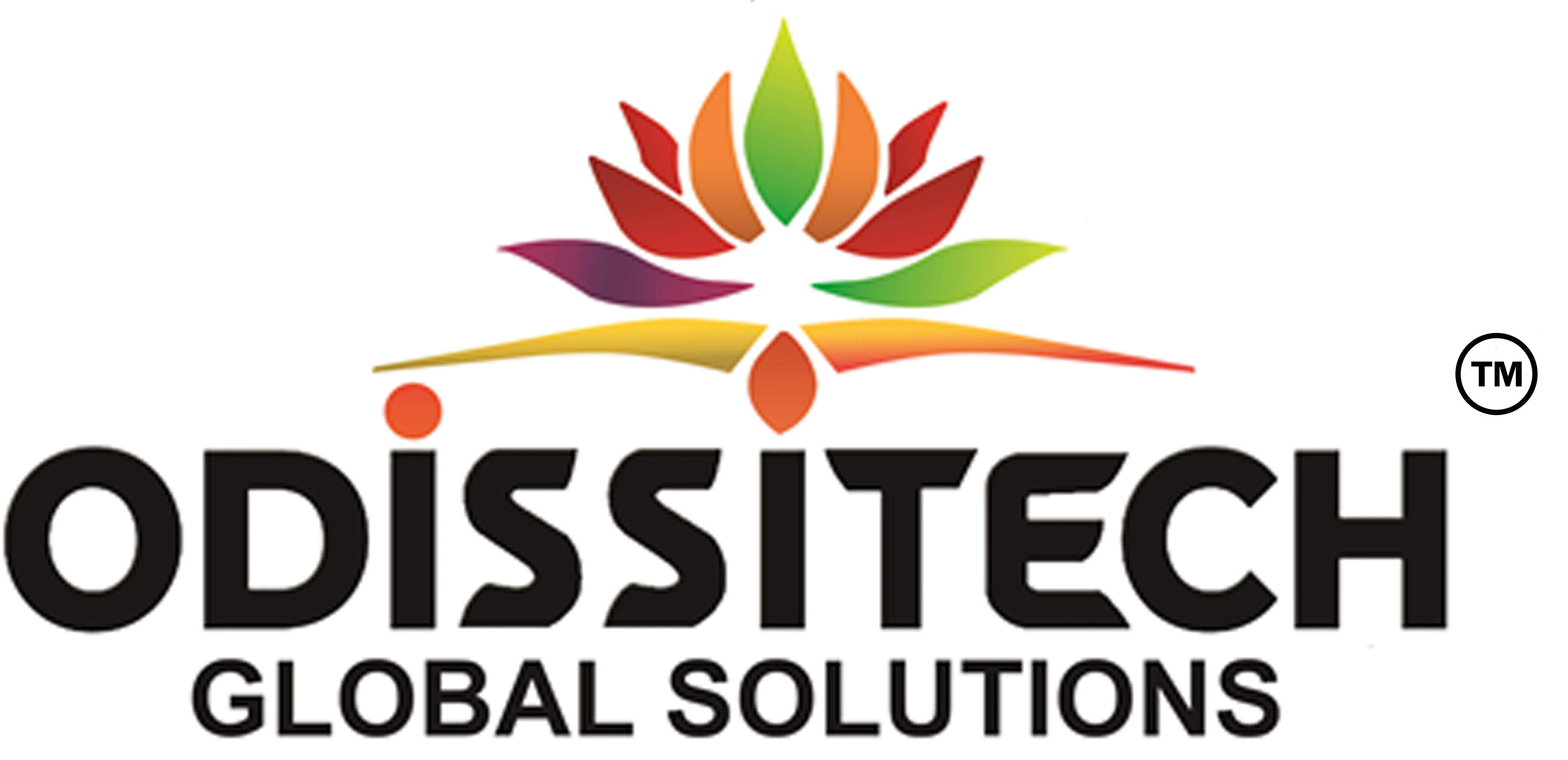 Odissi Tech Global Solutions Pvt Ltd